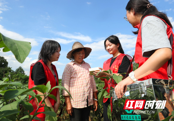 2024年7月3日，湖南省衡阳市珠晖区酃湖乡，南华大学护理学院的志愿者给在田间地头忙碌的乡亲送去防暑的药品。 (5).JPG